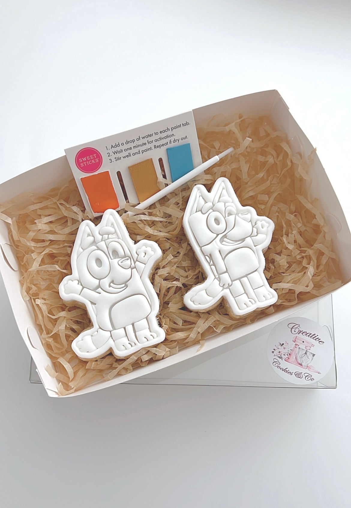 Bluey and Bingo Paint Your Own Pack