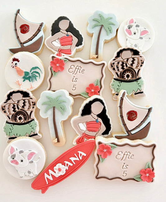 Moana variety pack (14x)
