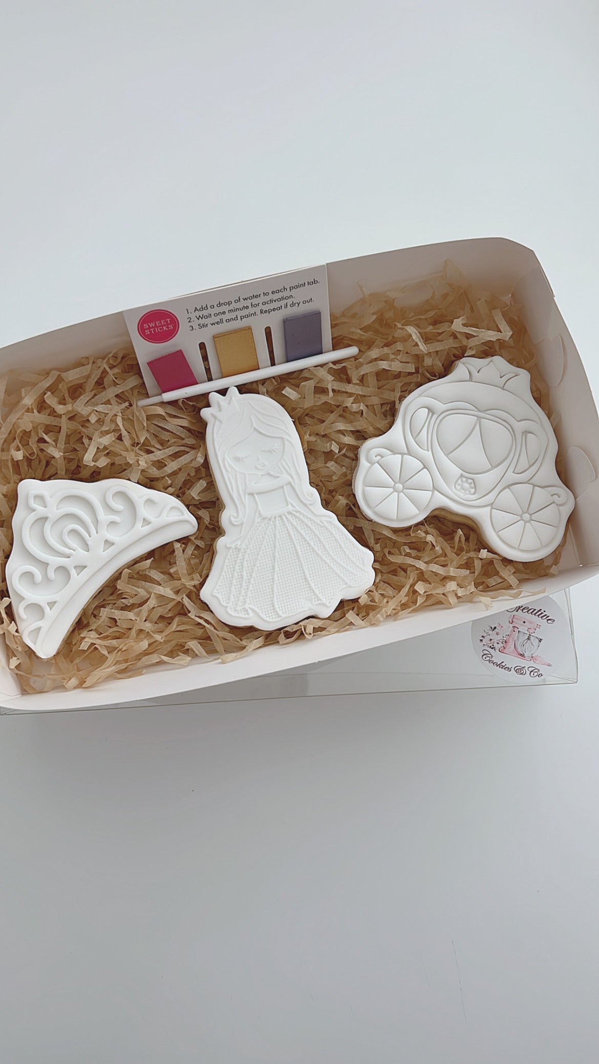 Princess Paint Your Own Pack