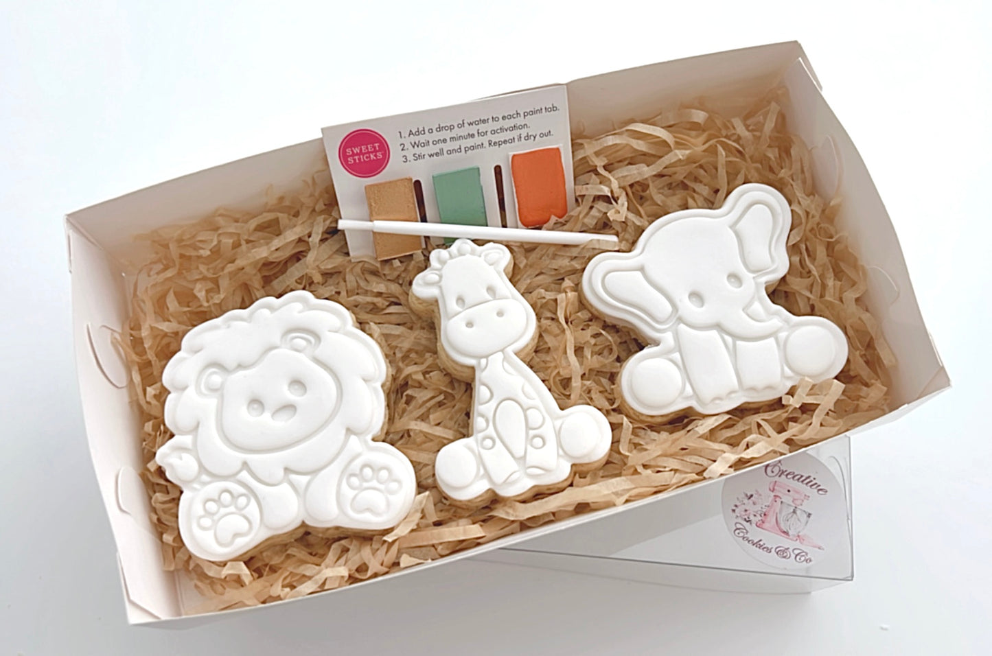 Jungle Paint Your Own Pack